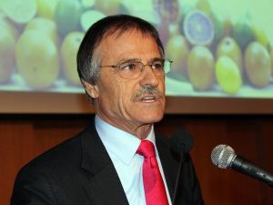 Narenciye İhracat Sezonu 2 Eylül’de Başlıyor