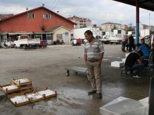 Balık Av Sezonu Açıldı Ama...