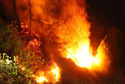 Yıldırım Düştü Yangın Çıktı Rize Valilik Konutu Tehlike Atlattı