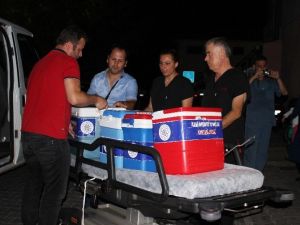 Organlarıyla 3 Kişiye Umut Olacak