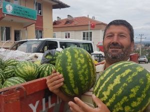 Vezirköprü’de Karpuz Bereketi