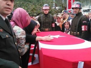 Giresunlu Şehit Uzman Çavuşun Cenazesi Baba Ocağına Getirildi