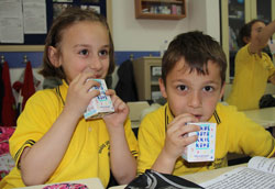 Rize'de Süt Dağıtımına Başlanıldı