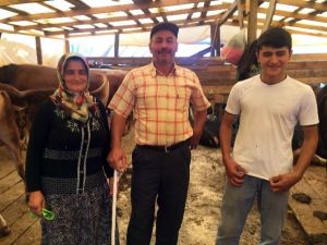 Hayvan Pazarında Kıyasıya Kurbanlık Pazarlığı