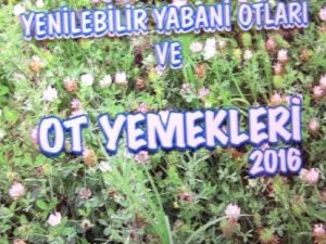 Karaisalı’nın Otları Ve Ot Yemekleri Kitaplaştı