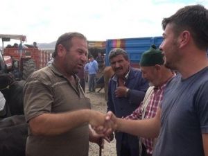 Sungurlu Hayvan Pazarında Bayram Hareketliliği