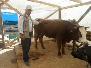 Kurbanlıkta Tek Fiyat Kampanyası