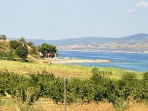 Köprü Haberi Emlak Piyasasını Uçurdu