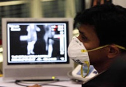 Domuz gribi Türkiye'ye sıçradı mı?