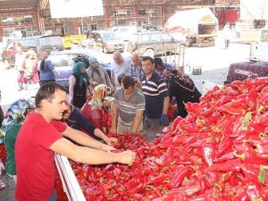 Sebze Halinde ‘Kırmızıbiber’ Yoğunluğu