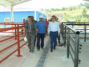 Canik’ten Modern Kurban Satış Yeri