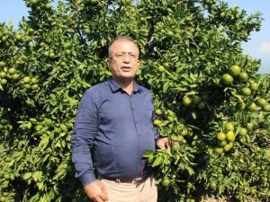 Narenciyede "Rusya" Sevinci