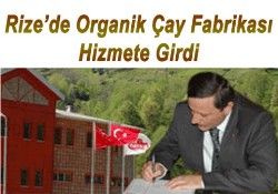 Resmen hizmette