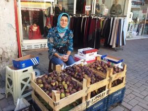 İncir Alternatif Gelir Kaynağı Oldu