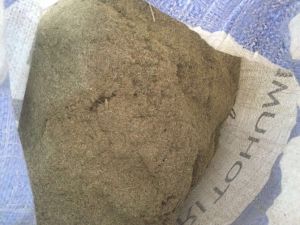 Çölyaklıların Umudu Karabuğdayda İlk Hasat