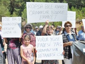 70’lik Teyze: "Vurur Yüze İfadesi, Kıramazsın Bi Tanesi"
