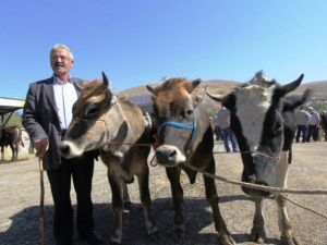 Kurban Kesimine İzin Verilecek Alanlar Belli Oldu