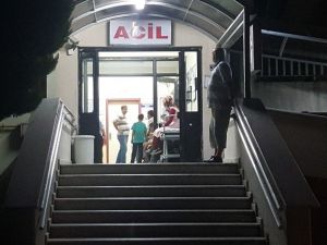 Zonguldak’ta Eşek Arısının Soktuğu Kişi Hayatını Kaybetti