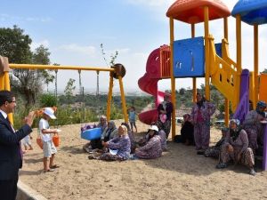 Asırlık Çitlembik Gölgesine Modern Park