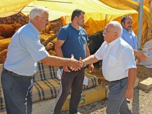 Giresun’a Yeni Hayvan Pazarı Kurulacak