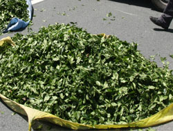 Yaş Çayda Ortak Basın Toplantısı