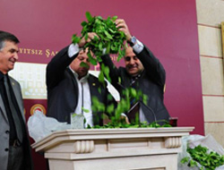 Çay Üreticileri İçin Önerge