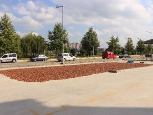 Yol Kenarı Fındık Harmanı