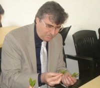Çay Sezonu Geç Açacak