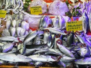 Samsun’da Kurban Eti Balık Satışını Etkilemedi