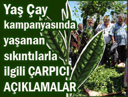 Çay'daki Sorunda Suçlu Kim ?