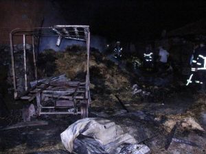 Amasya’da Ahır Yangını: 6 Hayvan Telef Oldu