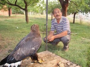 Tembel Kartal Tedavi Edilecek