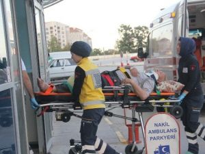 İncir Toplarken Canından Olacaktı