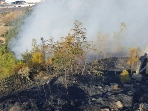 Karabük’te Orman Yangını