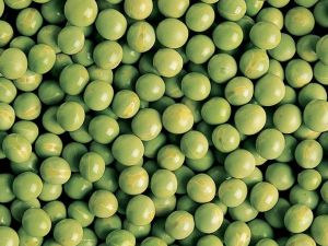 Kurutulmuş Bezelye Kan Şekerini Stabilize Ederken, Yakacak Enerji Sağlıyor