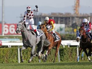 Ankara Koşusu’nda Gözler Graystorm’da