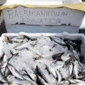 Başbakanın kravatını satıyor