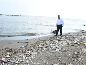 Mersin’deki Balık Ölümleri