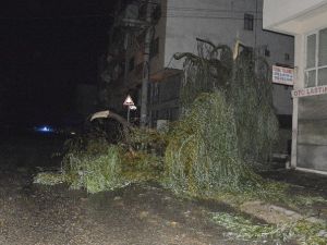 Düzce’de Hortum Çatıları Uçurdu, 3 Kişi Yaralandı
