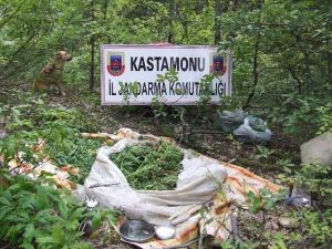 Kastamonu’da 10 Kilogram Esrar Ele Geçirildi
