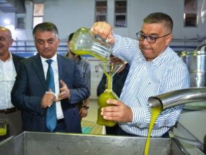 Ayvalık’ta Sezonun İlk Hasat Zeytinyağı Vali Yazıcı’nın Katılımıyla Sıkıldı