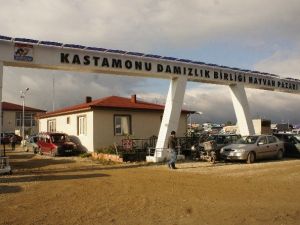 Kastamonu’da Hayvan Pazarı Tekrar Kapatıldı