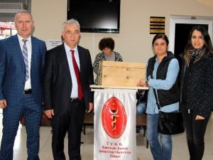 Çetinkaya Güven Tazeledi