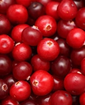 Bağışıklığı güçlendiren 10 meyve