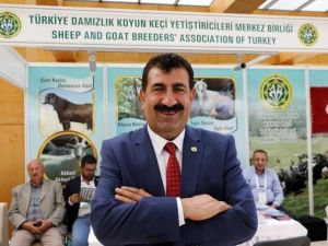 Türkiye’de Koyun Ve Keçi Sayısı 10 Yılda 14 Milyon Arttı
