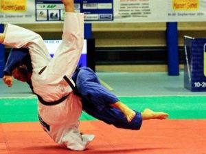 Minikler Judo Şampiyonası
