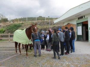Lise Öğrencileri Meslekleri Tanıyor