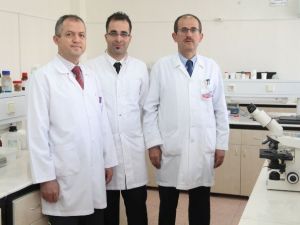 Kablosuz İnternet Emziren Kadınlar İçin Zararlı