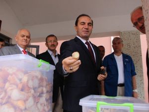 Amasya Valisi Işık’tan Okulda Şok Yemek Denetimi