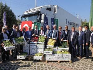 Yenişehir Biberi Hollanda Yolunda
